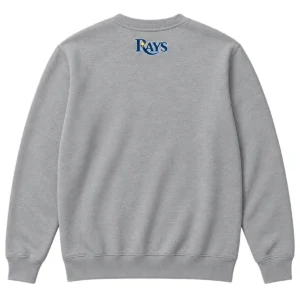 Tampa Bay Rays 2026 Division Series Champions Sweatshirt – Epic Gray Distressed Locker Room Take October